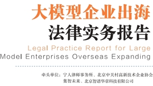 2024大模型企业出海法律实务报告-宁人律师事务所