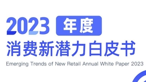 【魔镜洞察】2023年度消费新潜力白皮书