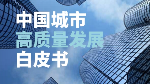 中国城市高质量发展白皮书